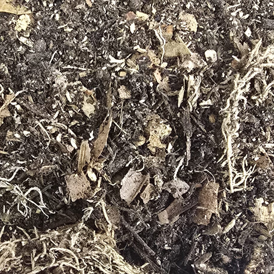 isopod soil