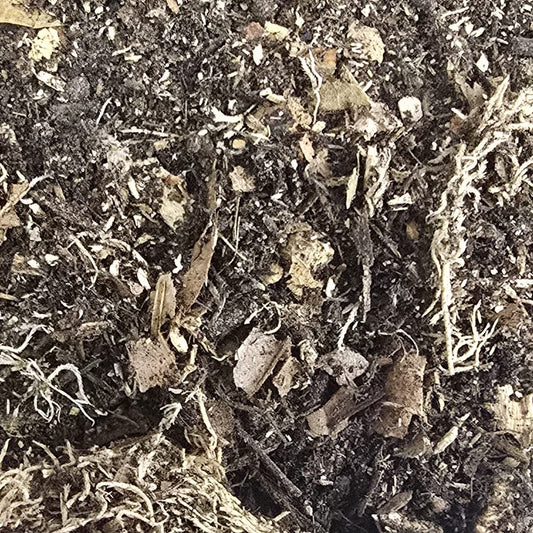 isopod soil
