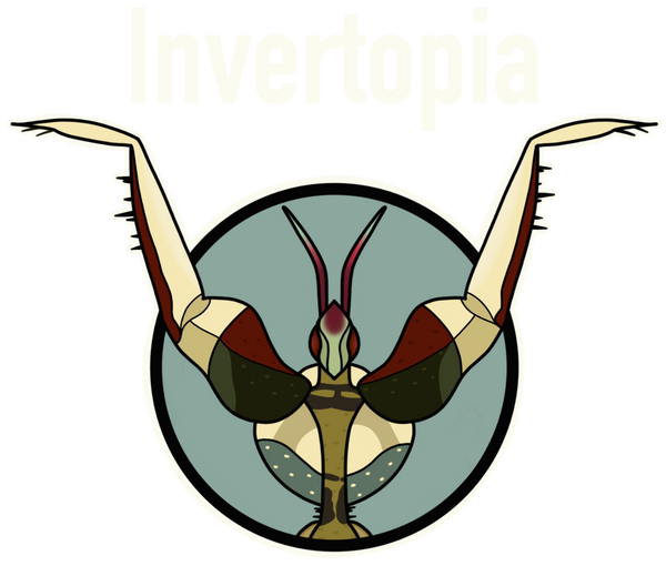 Invertopia