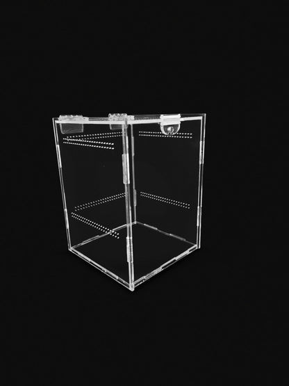 Top-Opening Glued Acrylic Enclosure: Mini | S | M | L